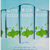 漱口水-薄荷.png